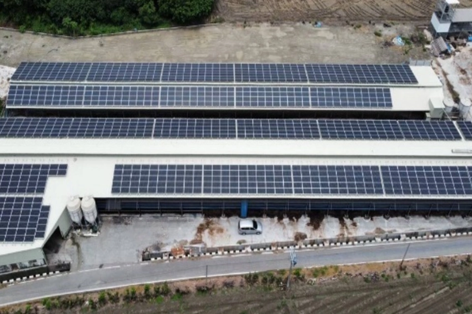 馮梅婷(彰化雞舍)