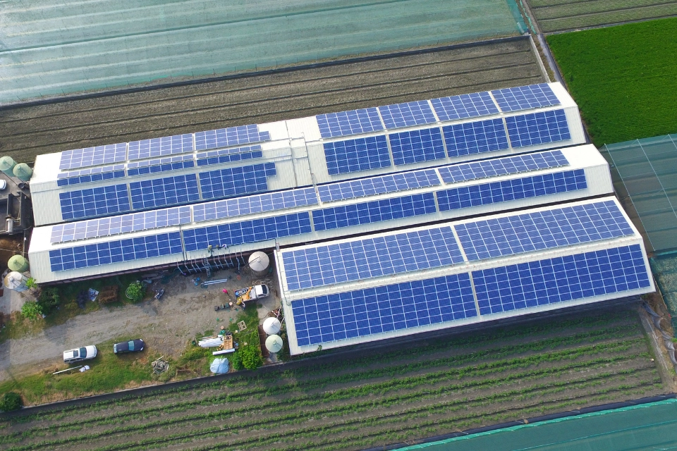 雲林程水城豬舍